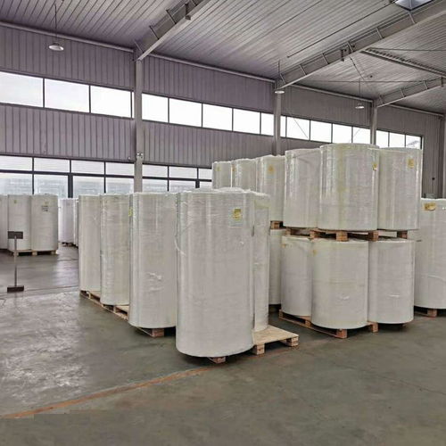 PET骨架無(wú)紡布濾芯復(fù)合材料 廠家直供，卓越性能與折價(jià)優(yōu)勢(shì)解析